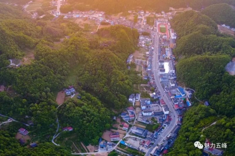 湖北聚翁餐饮管理有限公司总经理,五峰美食研发与推广首席顾问黄大菊