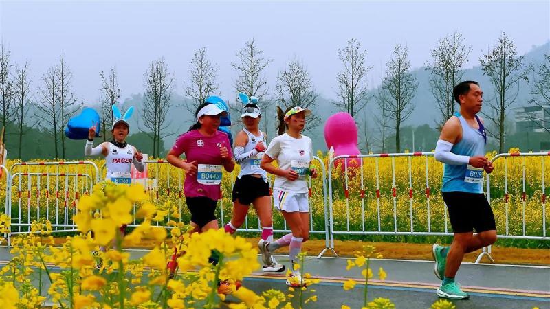 【2024.03.19】奥运冠军杨威领跑，近万跑者畅享2024湖北远安马拉松