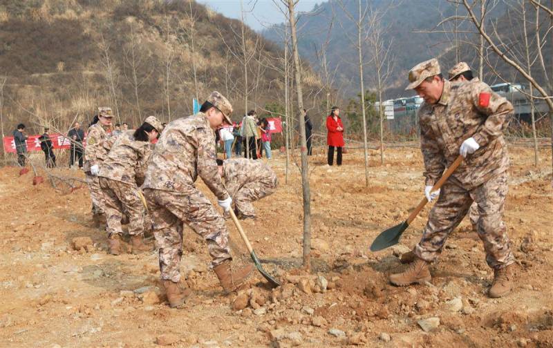 2月28日，十堰市举行义务植树活动。（十堰市林业局供图）