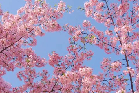 春天的来临，悄悄释放出活力的气息～