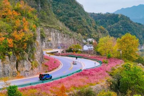 秋日限定，五峰这条路也太“圈粉”了！