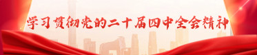 学习贯彻党的二十届四中全会精神
