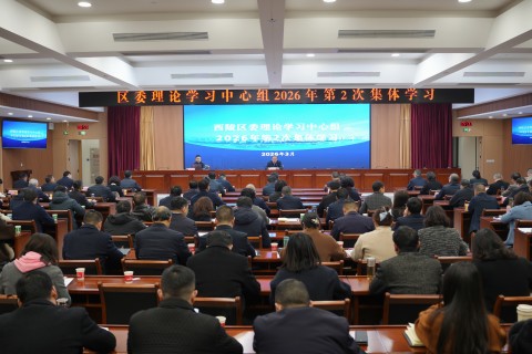 区委理论学习中心组开展2026年第2次集体学习