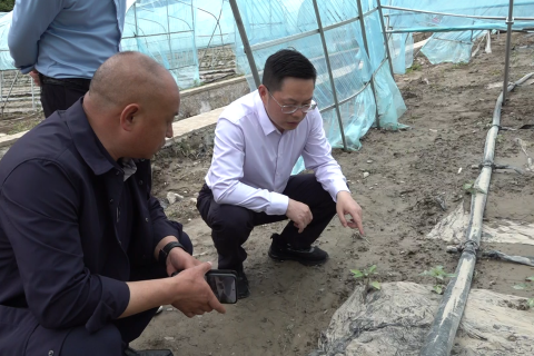谭志军深入湾潭镇调研防汛救灾工作并召开专题办公会