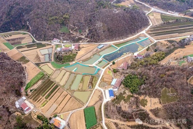 风园2 郑兵 摄.jpg