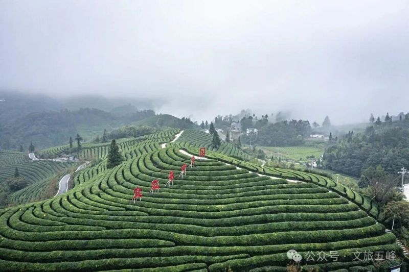 大风口 郑兵 1.jpg