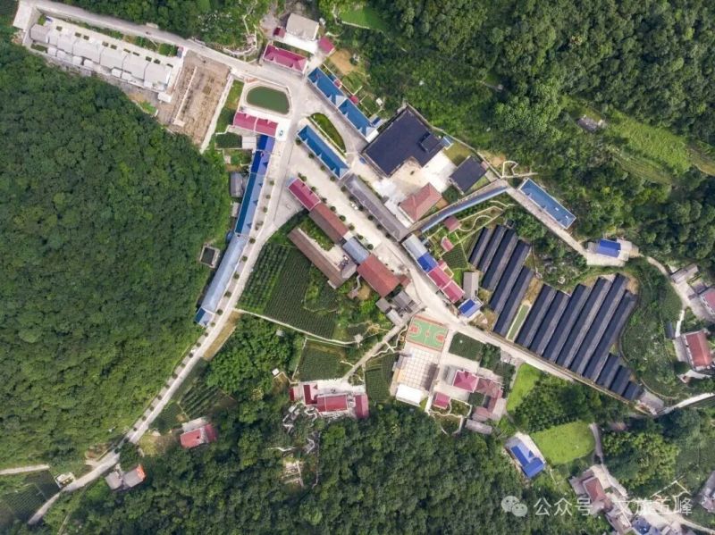 《美丽村庄》.jpg