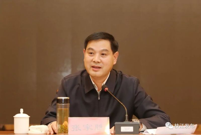 宜昌市委副书记,市长张家胜在会上致辞