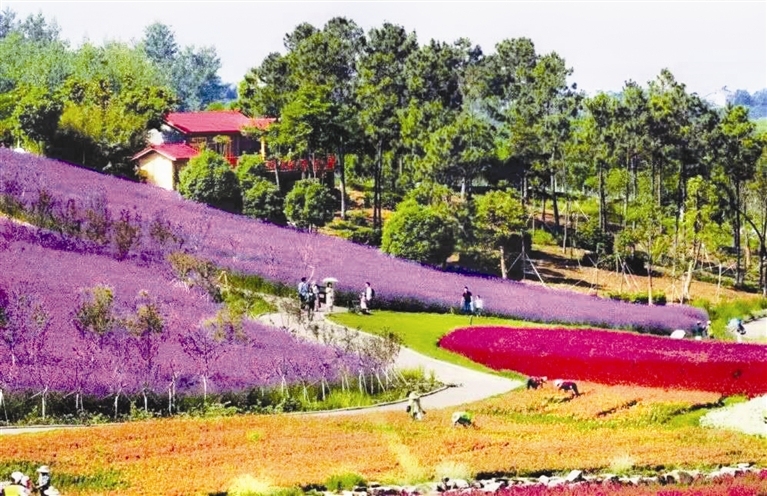 位于秦家塝村的东方年华景区. 三峡日报通讯员 安福 摄