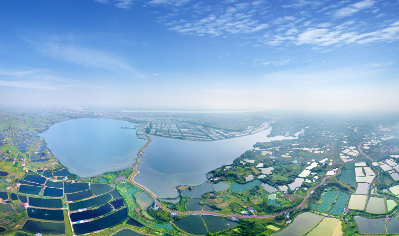 【游赏】湖北枝江金湖国家湿地公园 - 三峡枝江网