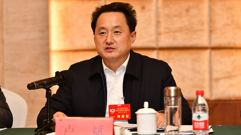 区委书记卢斌参加学院街道代表团审议