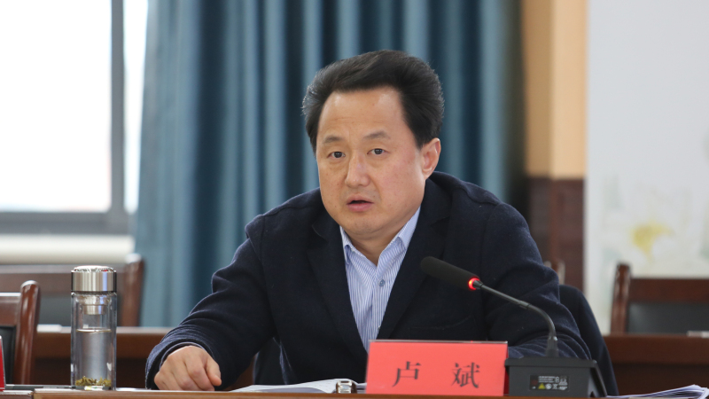 区委书记卢斌讲话