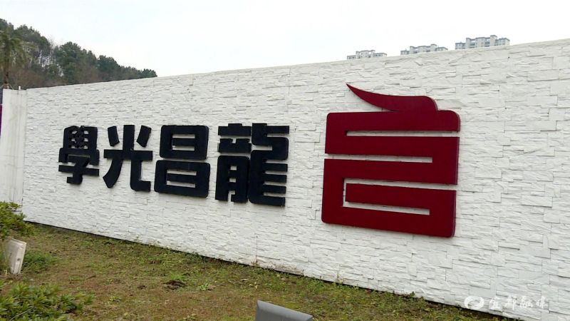 争做领头雁当好排头兵61奋力开门红龙昌光学抢订单忙生产冲刺新春