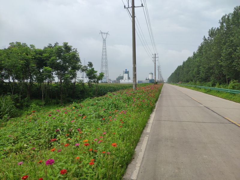 七星台镇:净起来 绿起来 美起来 - 乡镇动态 - 枝江市人民政府