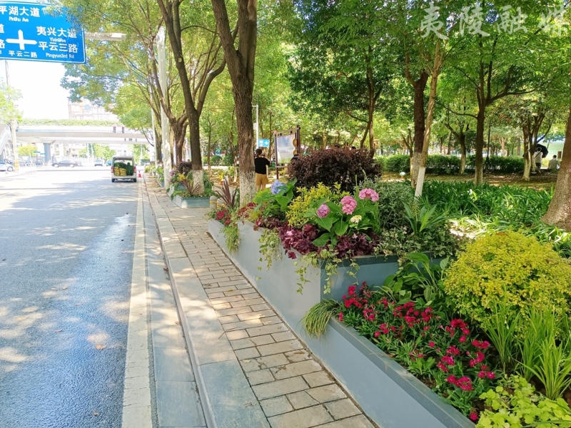 组合花箱妆点夷陵街区