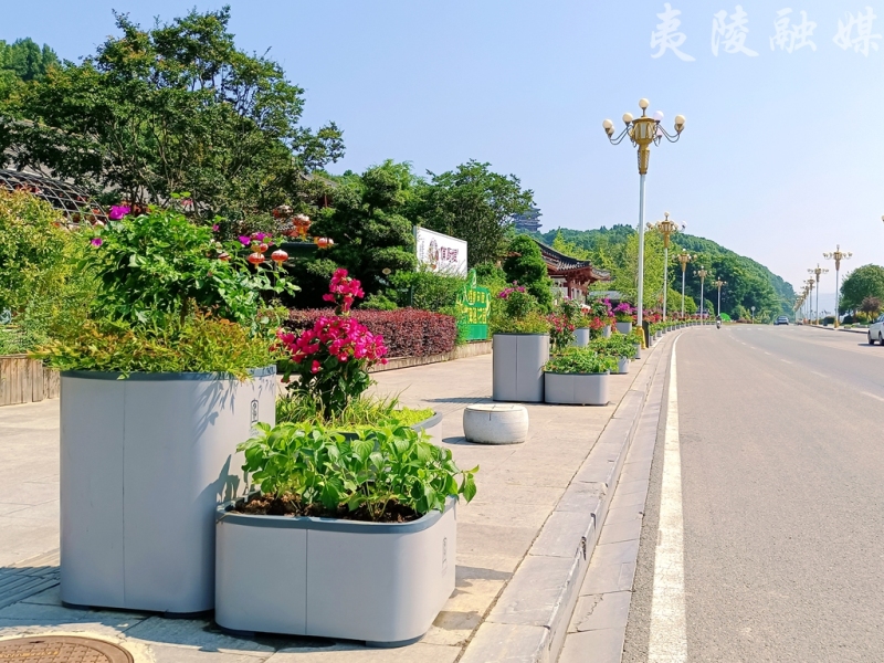 组合花箱妆点夷陵街区
