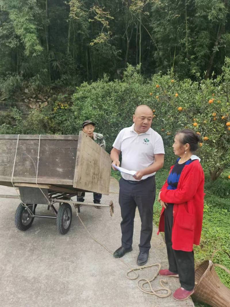 和美乡村建设的践行者记宜昌市点军区人大代表陈贤明