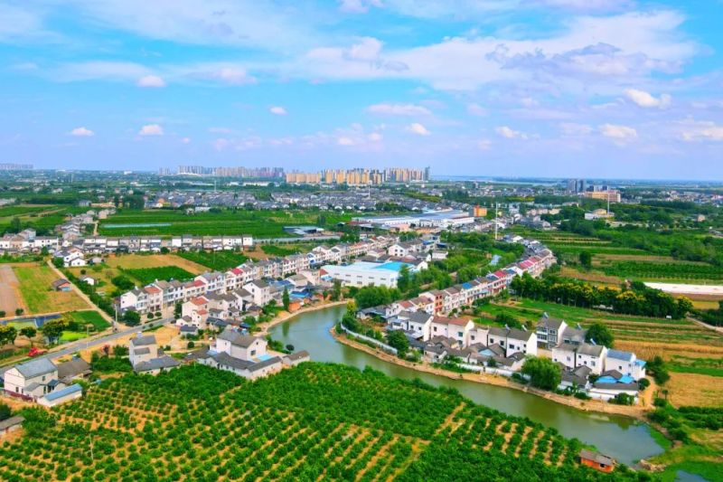 董市镇:农文旅融合发展 秀出乡村新名片 - 乡镇动态 - 枝江市人民政府