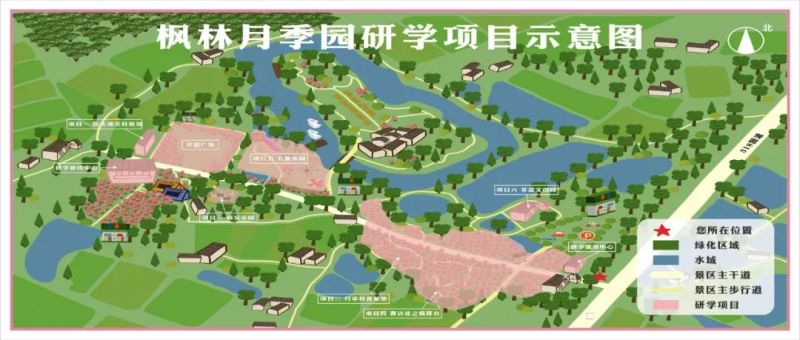 枝江市枫林月季园研学基地正式投入运营