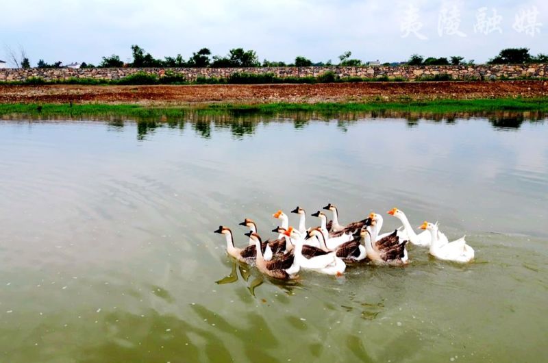 【"玛瑙河"观察】念好"三字诀" 写好"水文章"