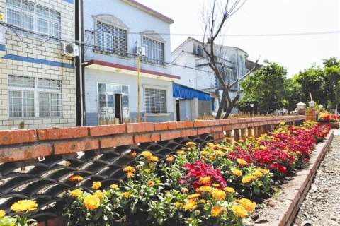 日报】马家店街道:大力开展爱国卫生运动 提升乡村"颜值 媒体枝江