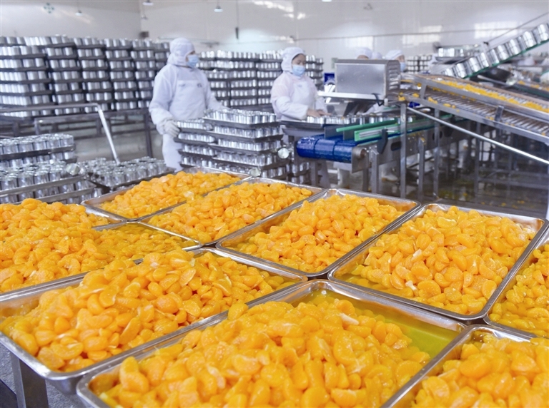 柑橘加工 助力增收