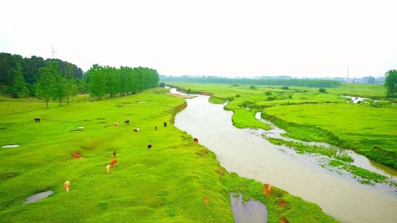 水清河畅醉心玛瑙