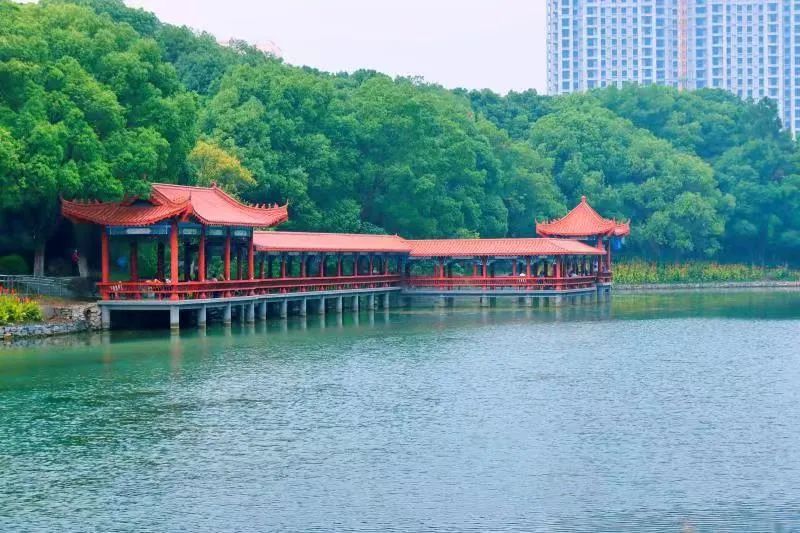 藏不住了枝江这些公园美到心醉