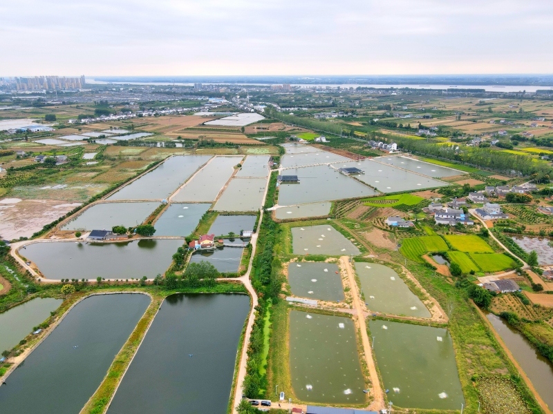 荆州水产养殖基地图片