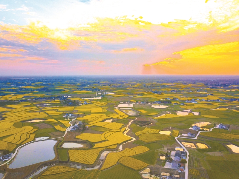 田园枝江 美丽家园 - 三峡宜昌网
